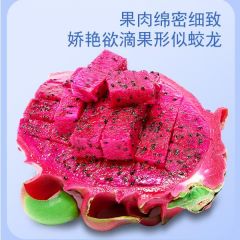 国产红心火龙果5斤 单果300-400g生鲜水果 产地直发