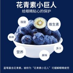 当季 国产蓝莓 4盒装 约125g/盒 新鲜水果