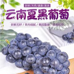 夏黑无籽葡萄/提子 1kg装 新鲜水果