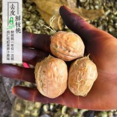 核桃去青皮湿核桃 薄皮鲜核桃新鲜时令水果