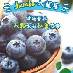 秘鲁蓝莓 新鲜水果 脆甜多汁  125g/盒